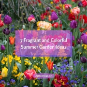 Easy Colorful Summer Garden Ideas
