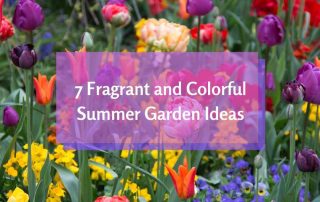 Easy Colorful Summer Garden Ideas