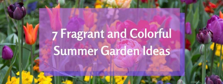 Easy Colorful Summer Garden Ideas