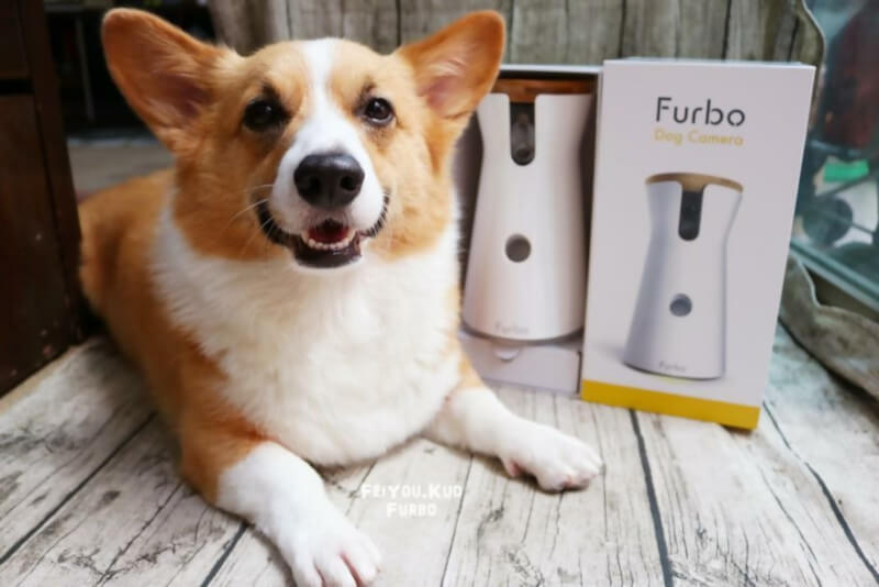 Furbo Dog Camera Smart Home Gadgets