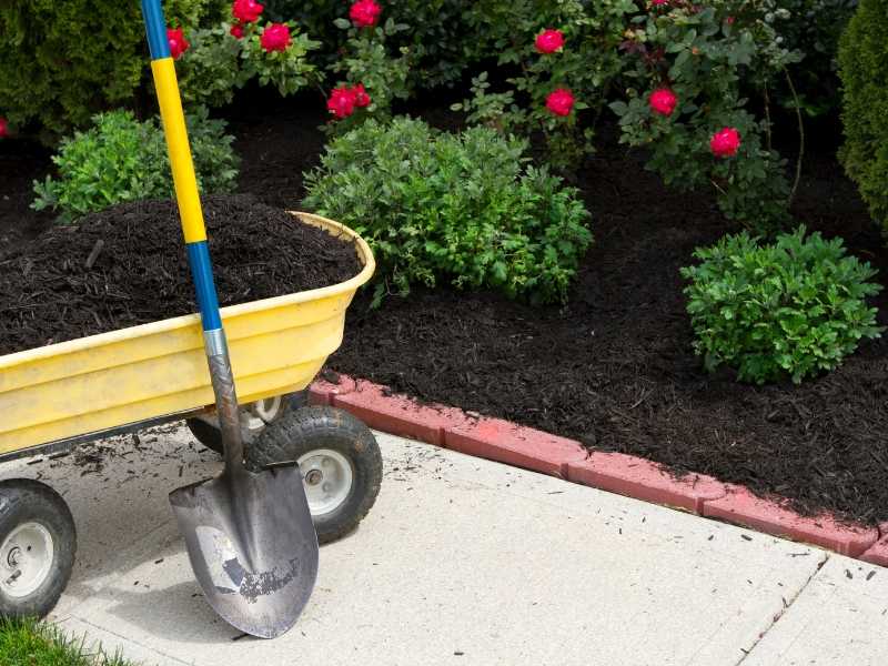 Good Soil Garden Flowers