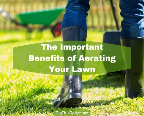 The Important Benefits of Aerating Your Lawn
