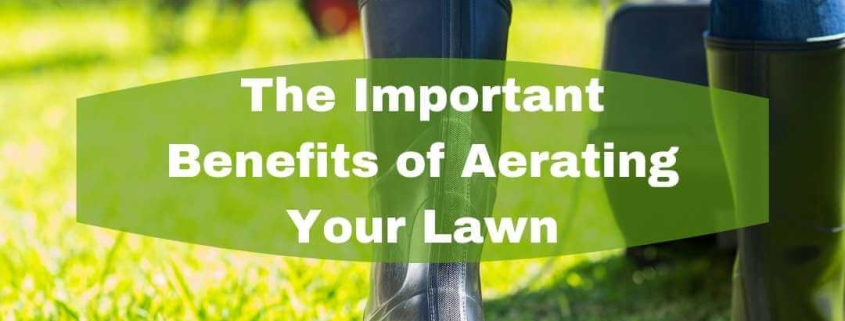 The Important Benefits of Aerating Your Lawn