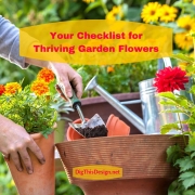 Your Checklist for Garden Flowers that Thrive All Summer Long