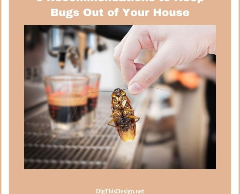 6 Recommendations to Keep Bugs Out of Your House