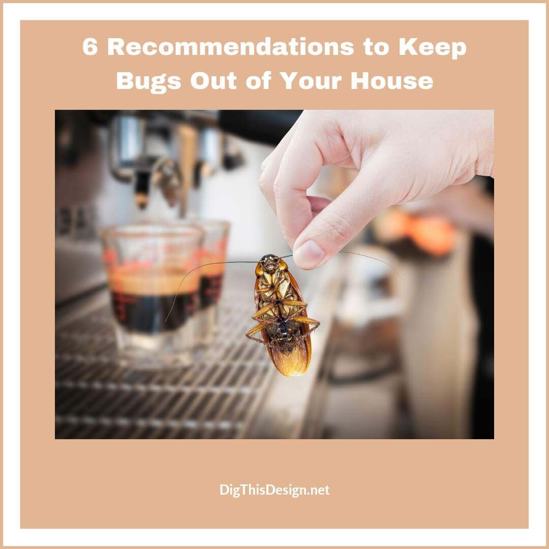6 Recommendations to Keep Bugs Out of Your House