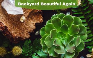 How To Make Your Unkempt Backyard Special Again