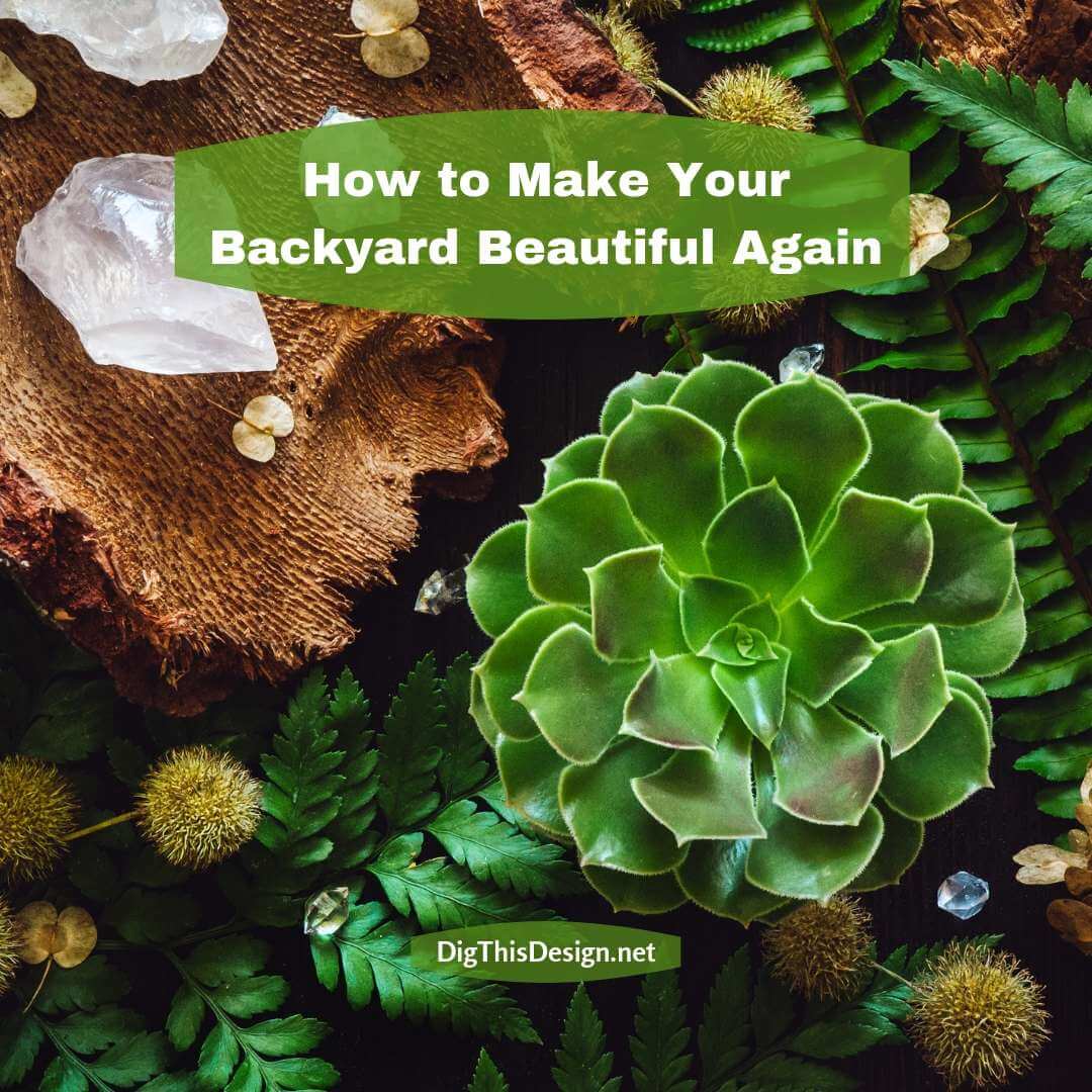 How To Make Your Unkempt Backyard Special Again
