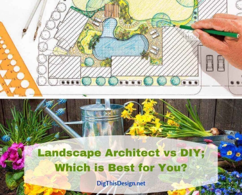 Landscape Architect vs DIY