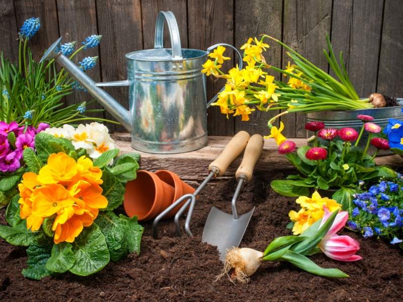 DIY Flower Gardening for your Landscape