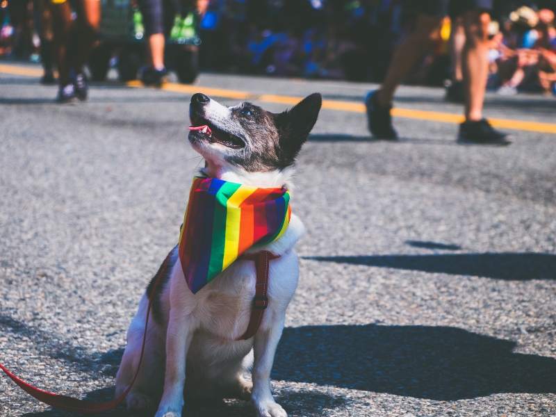 LGBTQ+ Pride in Orlando