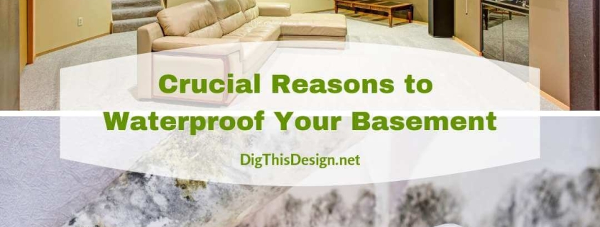Crucial Reasons to Waterproof Your Basement