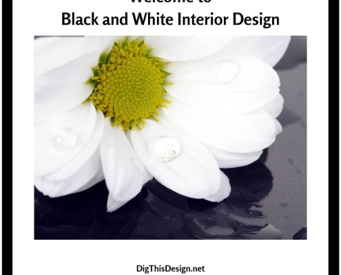 Welcome to Black and White Interior Design