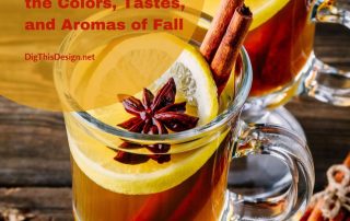 6 Beverages with the Colors, Tastes, and Aromas of Fall