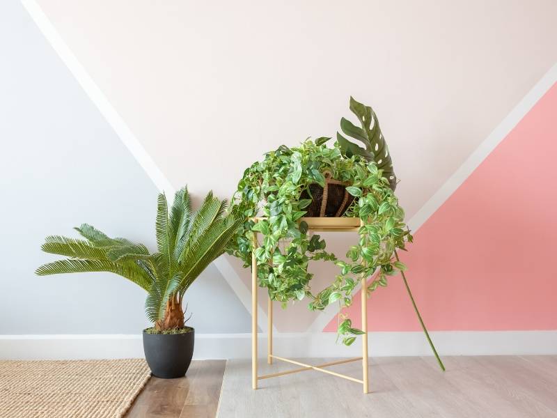 Selling Home Decor Tips with Luscious Greenery