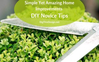 Simple Yet Amazing Home Improvements DIY Novice Tips
