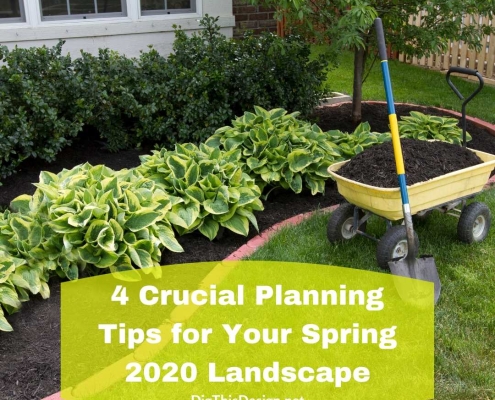4 Crucial Planning Tips for Your Spring 2020 Landscape