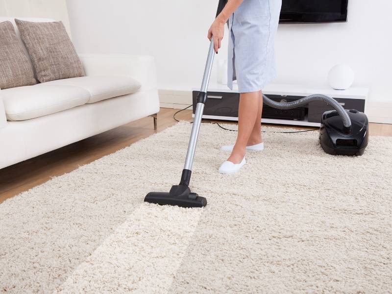 Professional carpet cleaning