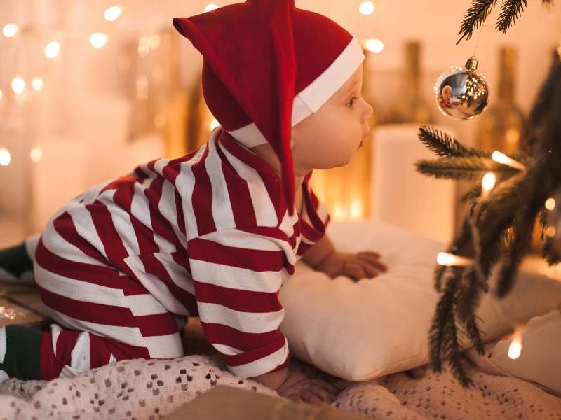 Baby and Pet Proof Your Decorations