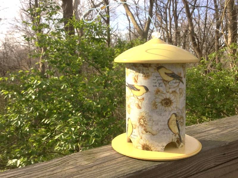 PVC DIY Bird Feeder