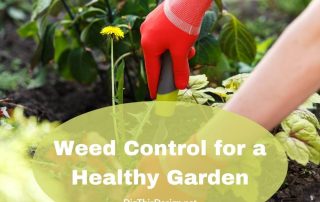 The Importance of Weed Control for a Healthy Garden