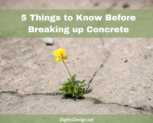 5 Things to Know Before Breaking up Concrete