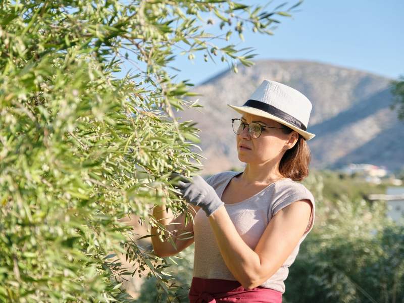 Inspect your trees regularly