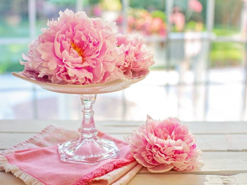 Peony Flowers Arrangement