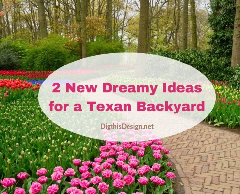 2 New Dreamy Ideas for a Texan Backyard