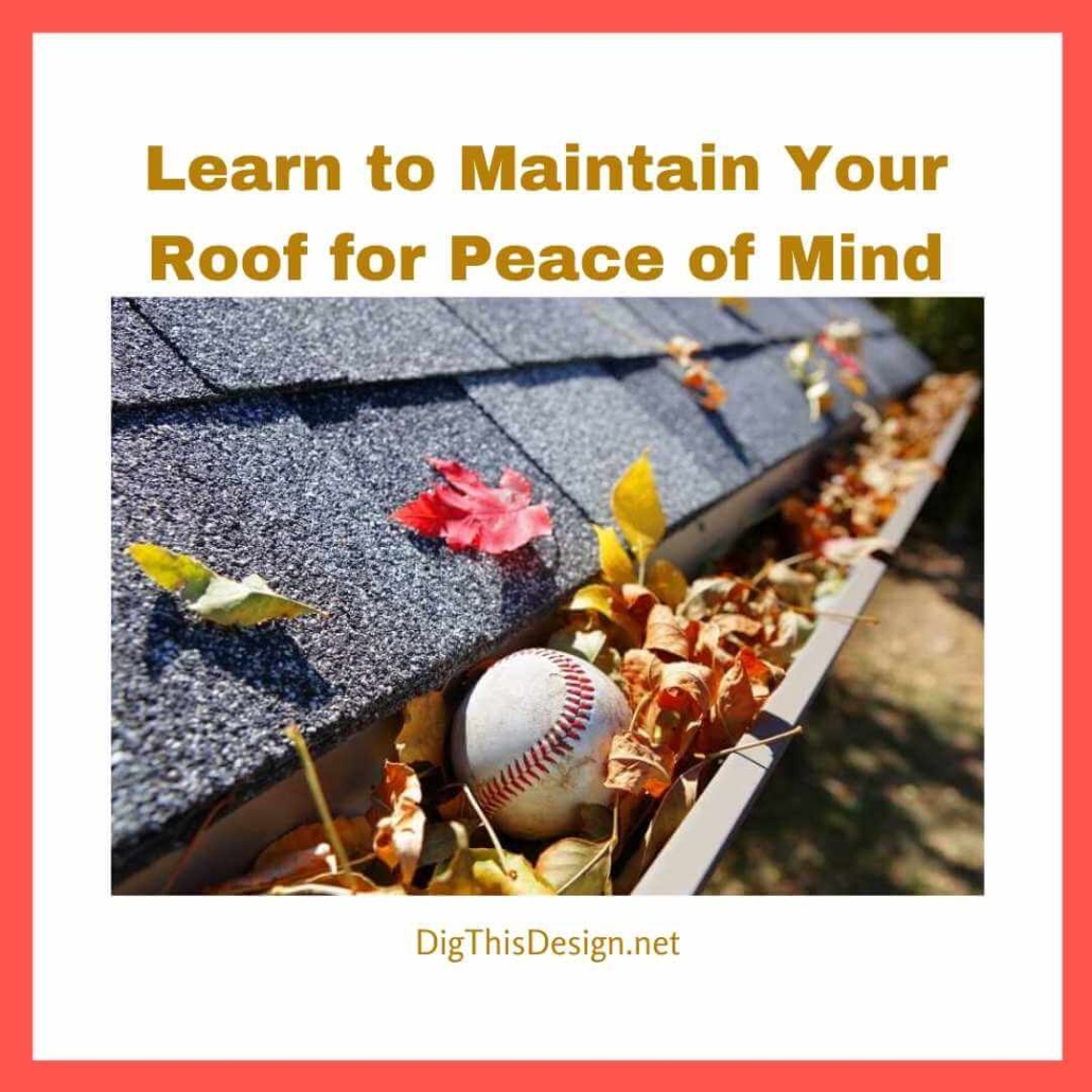Learn to Maintain Your Roof for Peace of Mind