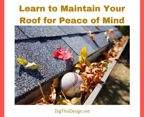 Learn to Maintain Your Roof for Peace of Mind