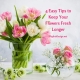 4 Easy Tips to Keep Your Flowers Fresh Longer