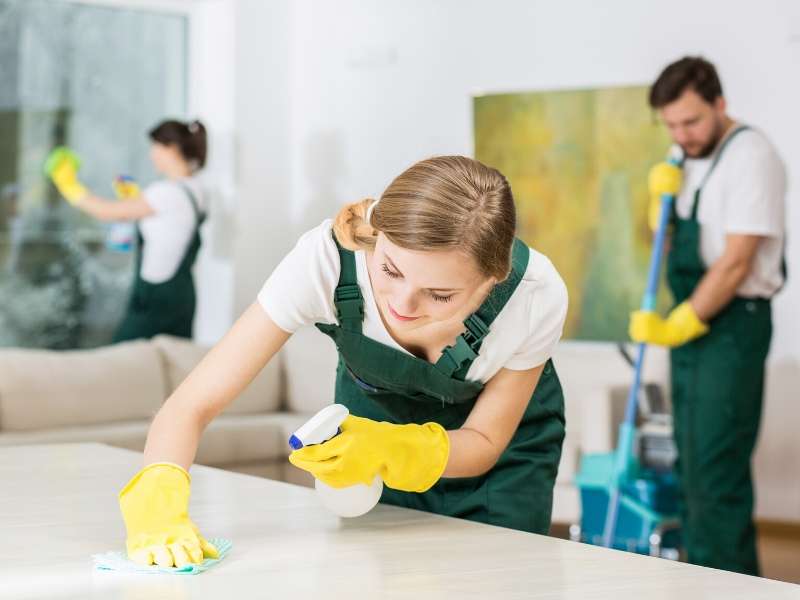 Professional House Cleaning