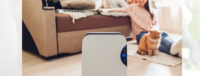 4 Tips for Excellent Maintenance of Your Home Air Purifier
