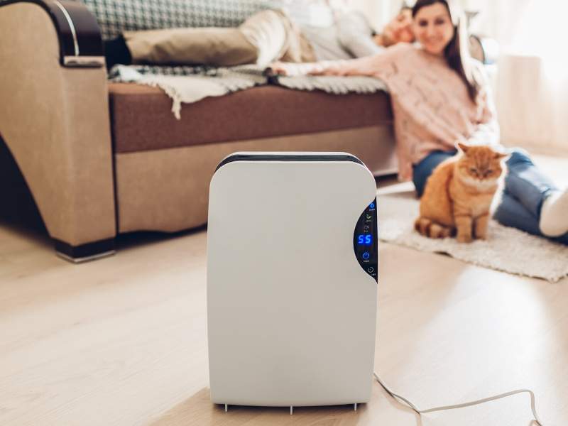 4 Tips for Excellent Maintenance of Your Home Air Purifier