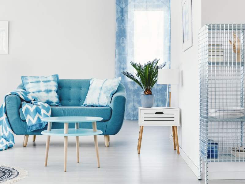 Blue Interior Design Trends in 2020