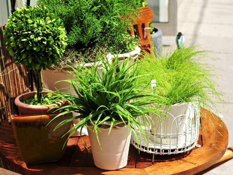 Build Your Perfect Garden with These Four Design Tips