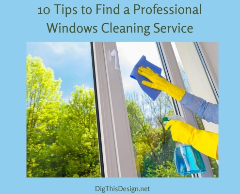 Professional Windows and Doors Cleaning