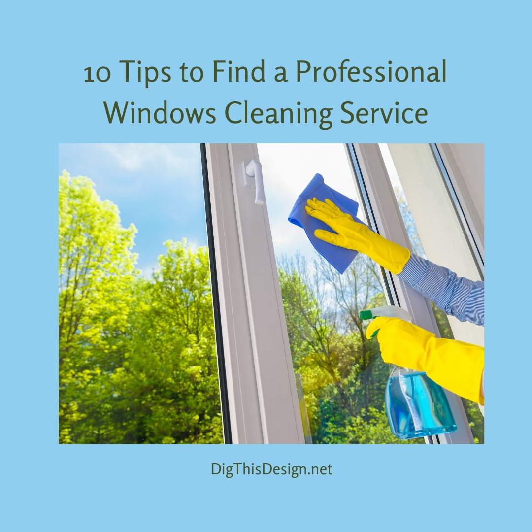 Professional Windows and Doors Cleaning