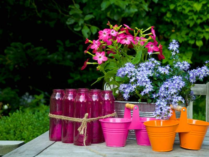 DIY Garden Tips for Decor