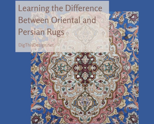 Learning the Difference Between Oriental and Persian Rugs
