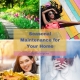 Seasonal Maintenance for Your Home