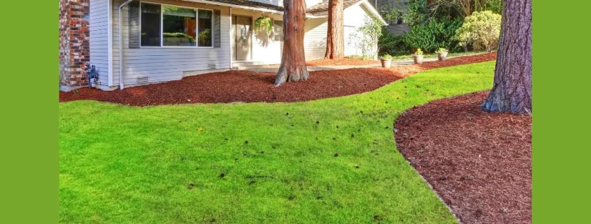 8 Ways to Boost Your Curb Appeal
