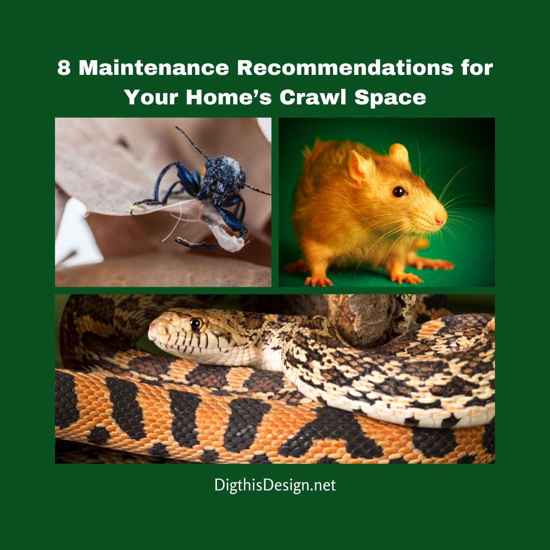 8 Maintenance Recommendations for Your Home’s Crawl Space
