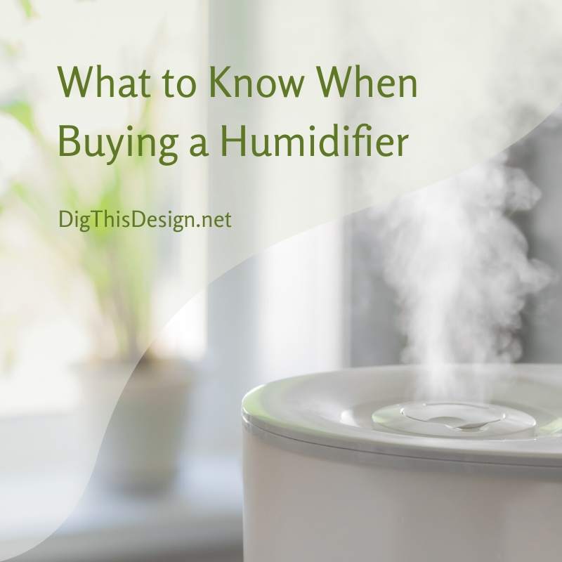 5 Things to Consider When Buying Lash Room Humidifier