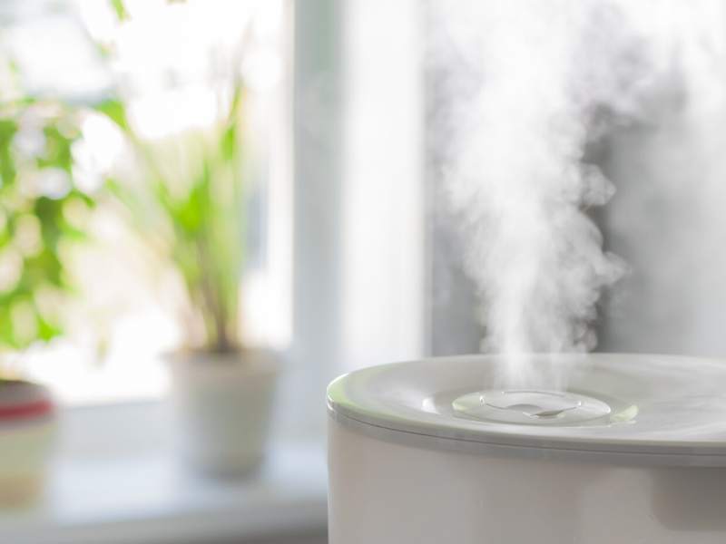 Buying a Humidifier • What You Need to Know