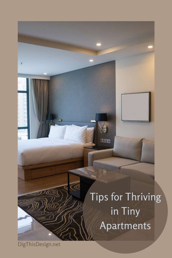 How to Thrive in Tiny Apartments