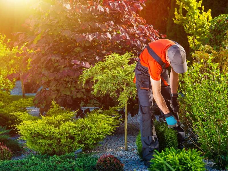 4 Reasons for Hiring a Landscaping Company