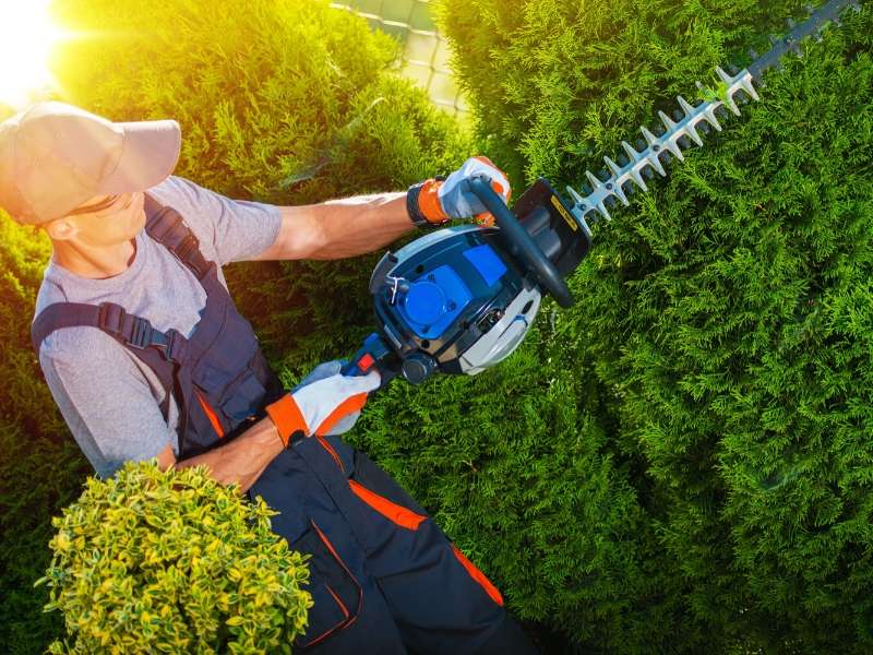 Finding Good Landscaping Services at Reasonable Prices