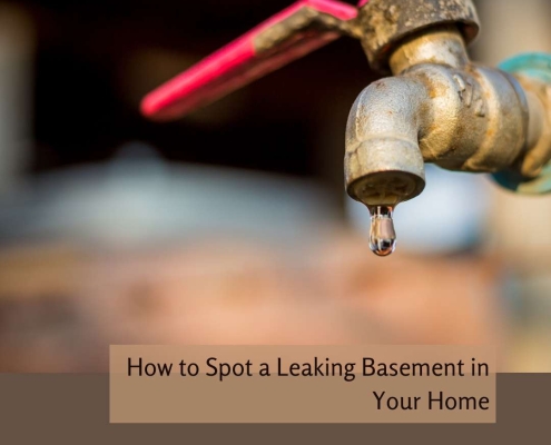 How to Spot a Leaking Basement in Your Home